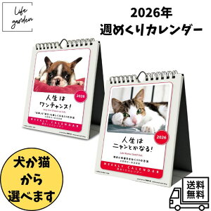 y12/4 20:00~ 12/11 01:59 |Cg5{zyELIׂzgCGbNX l̓jƂȂIl̓`XI/Ǌ| 2026NJ_[ 18×14cm CL-383 CL-384