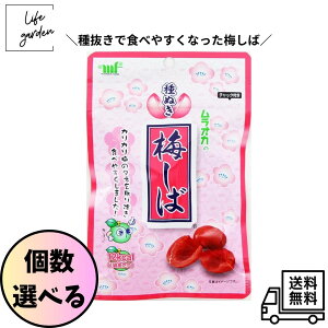 y11/1 00:00~23:59 |Cg5{zyIׂzHi 픲~ 30g _CGbg  ܂ MǑ΍ ~ ⋋ IJ `bNt