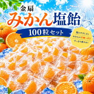 【9/4 20:00~9/11 01:59 ポイント5倍】【100粒セット・大容量】金扇 みかん塩飴（夏みかん味） 100個入り…