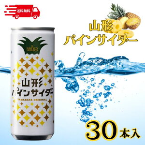 �y12/15 00:00-23:59 �|�C���g5�{�z�y30�{�Z�b�g�z�T��&���u �R�`�H�i �R�`�p�C���T�C�_�[ �P�[�X�̔� 250mL×30�{�� �M�t�g ������ ���Ε� ���̓� ��̓� �����n�T�C�_�[ �čՂ� �h�����N �܂Ƃߔ�