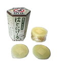 防ハトグッズはとにげ〜る忌避剤 1箱10個入り