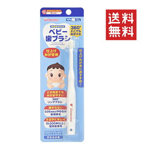 y[/za WAKODO ɂsJxr[uV dグ݂p 6J` 炩 Ԃ LbY