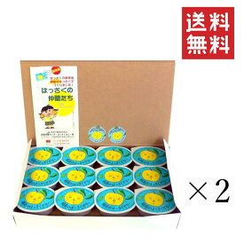 【6/11 1時59分迄!抽選で300%ポイントバック&クーポン配布中!!】 広島果実連 因島農協 はっさくゼリー 24個×2箱セット まとめ買い 銘菓 ご当地 お土産 ゼリー 人気 八朔