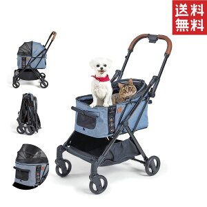 Rr Rybg FikaGO tBJS[ t[gD[S[ fj L ybgJ[g oM[