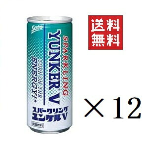  Xp[NOPV 250ml×12{Zbg ܂Ƃߔ h{hN GiW[hN Y_ Ki