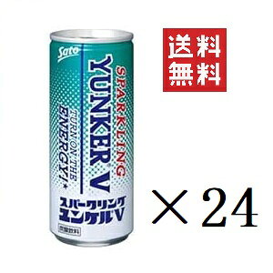  Xp[NOPV 250ml×24{Zbg ܂Ƃߔ h{hN GiW[hN Y_ Ki