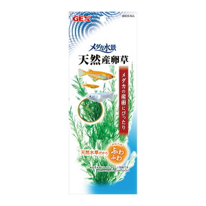 WFbNX yszy12ZbgzWFbNX WFbNX_JiVRY