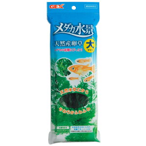 yszy12ZbgzWFbNX_JiVRY