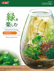 ysz WFbNX OXANAE Lh CeA KX