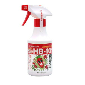 �y24�Z�b�g�z�t���[�� ���̂܂܎g���� HB�|101 ��ߊ��͉t 300cc �엿 �A�����͉t