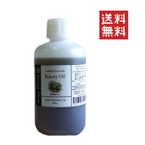 [J Aj}A[F[_ r[eBIC 500cc ybg {fBPA  tP ыʖh~