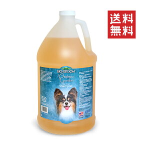 ACs[ʏ oCIO[ veCmVv[ 3.8L ybg    e Ɩp