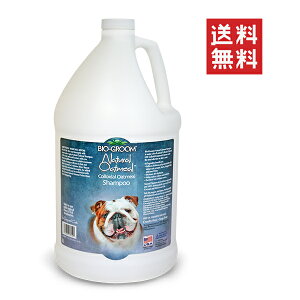 ACs[ʏ oCIO[ i`I[g~[Vv[ 3.8L ybg  h e Ɩp