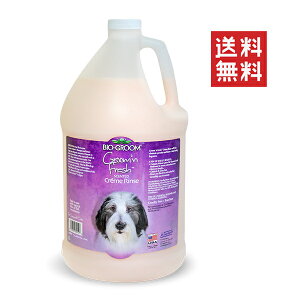 ACs[ʏ oCIO[ O~[OtbVN[X 3.8L ybg  ̏L e Ɩp