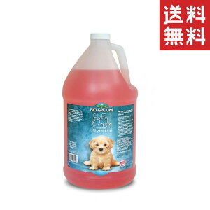 ACs[ʏ oCIO[ ttB[ps[Vv[ 3.8L ybg q h e Ɩp 玉