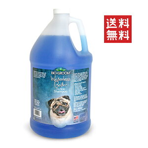 ACs[ʏ oCIO[ EH[^[XoXVv[ 3.8L ybg hCVv[ e Ɩp