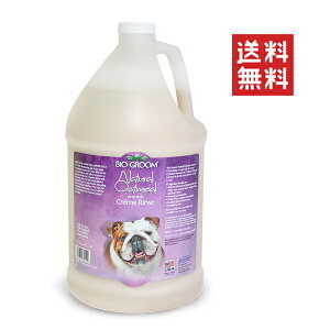 ACs[ʏ oCIO[ i`I[g~[N[X 3.8L ybg  e Ɩp