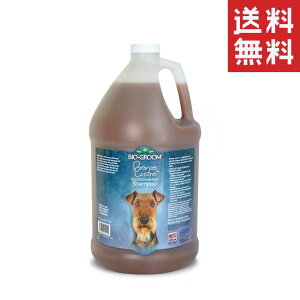 ACs[ʏ oCIO[ uYX^[Vv[ 3.8L ybg  h e Ɩp уPA