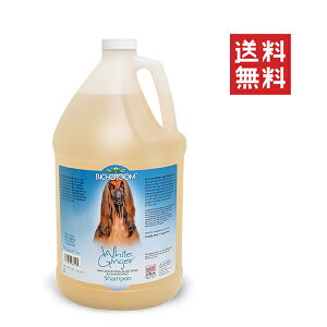 ACs[ʏ oCIO[ i`ZY zCgWW[Vv[ 3.8L ybgL e Ɩp