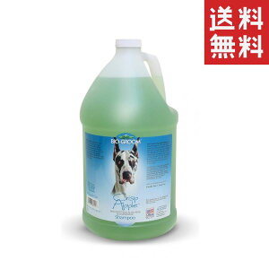 ACs[ʏ oCIO[ i`ZY NXvAbvVv[ 3.8L ybg  L h e Ɩp