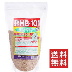 t[  HB-101 1kg 엿