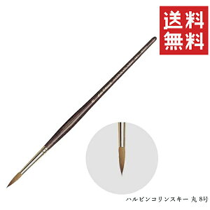【メール便/送料無料】ホルベイン ダヴィンチ 水彩筆 シリーズ36Y ハルビンコリンスキー 丸 8号