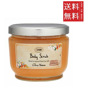 SABON �T�{�� �{�f�B�X�N���u �V�g���X�u���b�T�� 600g �}�b�T�[�W�\���g �{�f�B�P�A �}�b�T�[�W�p ���s�A���i