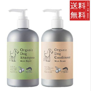 VY ChEIuEI[KjNX I[KjbNhbOVv[& RfBVi[ CXgyA e350ml p