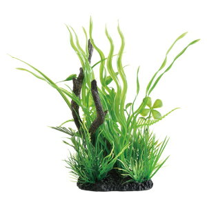 yszy12ZbgzWFbNXiMIXvcEbhoXlA