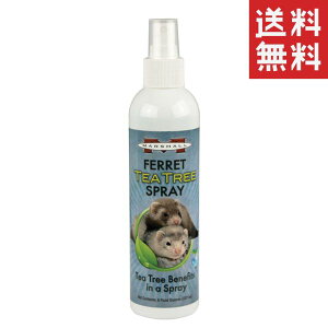 L[ Marshall }[V tFbgeB[c[Xv[ 237ml tFbgp pi