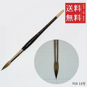 y[/zzxC VRѐʕM 910 14