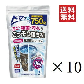 【6/4 20時～抽選で300%ポイントバック&クーポン配布中!!】 【即納】紀陽除虫菊 非塩素系 洗濯槽クリーナー 750g×10個セット まとめ買い 除菌 消臭 プロ仕様 生乾き臭