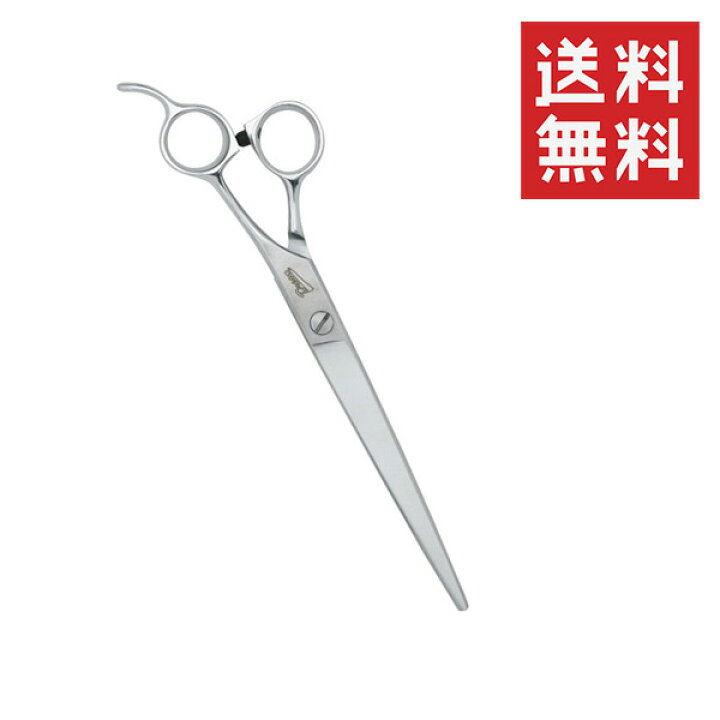 楽天市場】【!!クーポン配布中!!】 【メール便/送料無料】ドリーム  