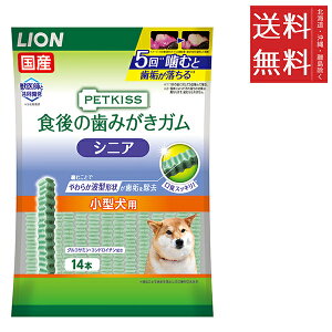 y[/zCIybg PETKISS H݂̎K VjA ^p 14{ I[PA f^PA