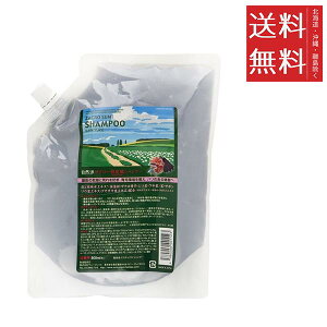 Tj[vCX UNY_ Vv[ 800ml l e tB  XJvPA nCO[h Rh