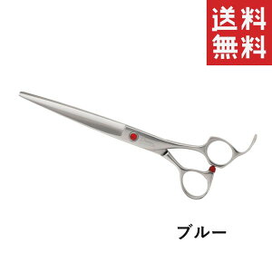 y[/zh[ Xg[gVU[ SP series SP-2 u[ ybgp   ͂ g~Opi