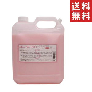 xbc`CXWp BEAUTY ECO r[eB[GRPRO No.5 RfBVi[ ӂӂ 4L(4000ml) e Ɩp _