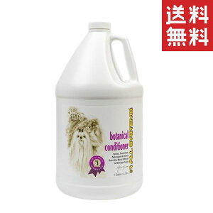 nicorich io[I[VXeY 1 {^jJ RfBVi[ 1Gal(3780ml) Lp vp Ɩp ybg