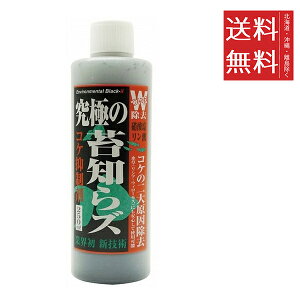 r[uXg B-blast ɂ̑ےm炸 Lbh 250ml { Y Ϗ܋ ANAE 