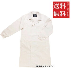 �z���x�C�� ���p���K�� �i�`������ NL03-L �z���C�g ��