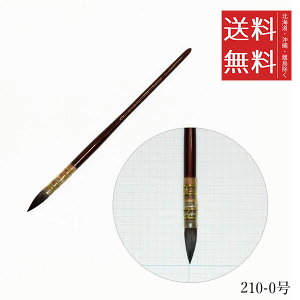 y[/zzxC VRѐʕM 210-0