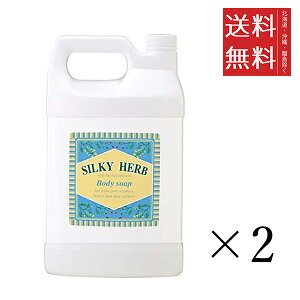 p[ VL[n[u {fB\[v 1L(1000mL)×2Zbg ܂Ƃߔe lߑւ Ɩp XLPA