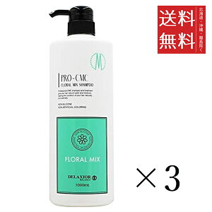 cw fNVI v CMC t[~bNX Vv[ 1000ml×3Zbg ܂Ƃߔ wAPA F VRt[ mVR