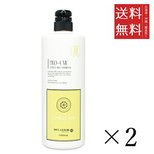 cw fNVI v CMC VgX~bNX Vv[ 1000ml×2Zbg ܂Ƃߔ wAPA F VRt[ mVR