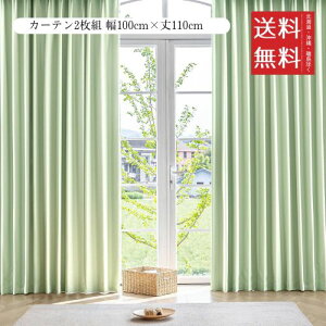 AZRA J[e SՌ 2g 100cmx110cm O[ h h ՔM fM ȃGl @\  rO Q  n  Ԗ^[dl