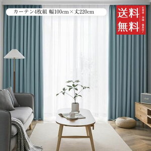 AIFY J[e4g 1 Ռ  h[vJ[e UVJbg `ԋLHς fM ߓd΍ ډB ۉ  􂦂 @Ή (J[e2 [X2) 100cm×220cm Xg[V