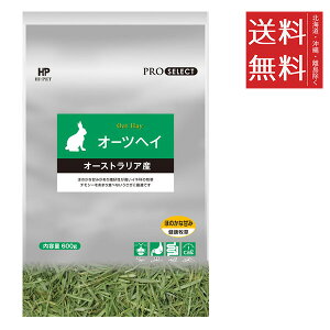 ysznCybg vZNg I[cwC 600g q  GT 