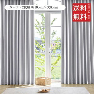 AZRA SՌJ[e R[eBO 2g 100cmx80cm O[ h h ՔM fM ȃGl @\  rO Q  n  Ԗ^[dl