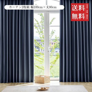 AZRA SՌJ[e R[eBO 2g 100cmx80cm lCr[ h h ՔM fM ȃGl @\  rO Q  n  Ԗ^[dl