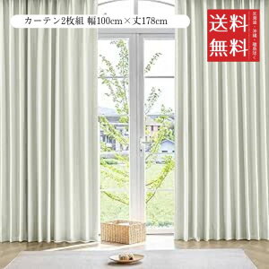 AZRA SՌJ[e R[eBO 2g 100cmx178cm Vo[O[ h h ՔM fM ȃGl @\ rO Q  n  Ԗ^[dl